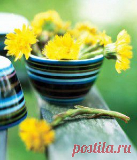 сообщение галина5819 : Зацвела мать-и-мачеха (06:18 22-04-2015) [3803925/360045754] - zlat-ural@mail.ru - Почта Mail.Ru