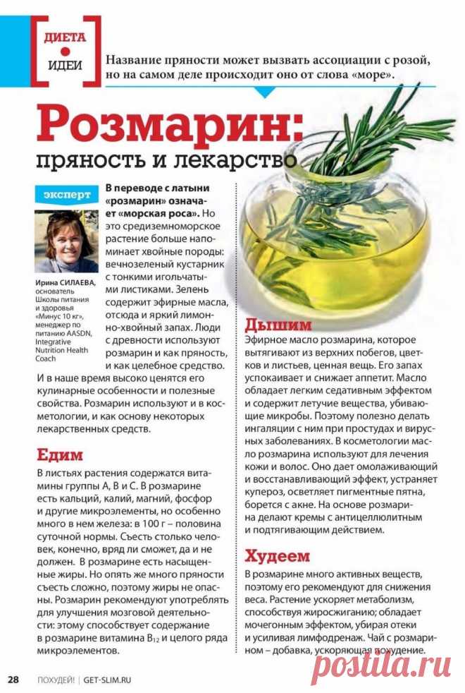 Розмарин: пряность и лекарство