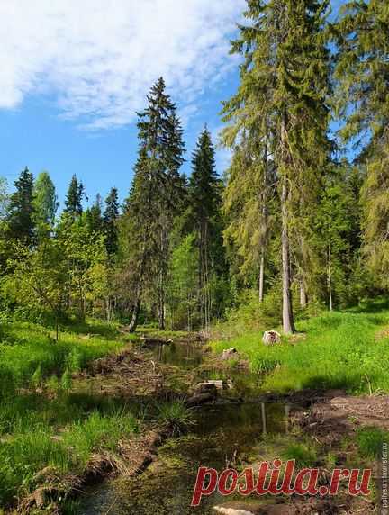 Карелия.