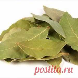 Подожги лавровый лист в доме