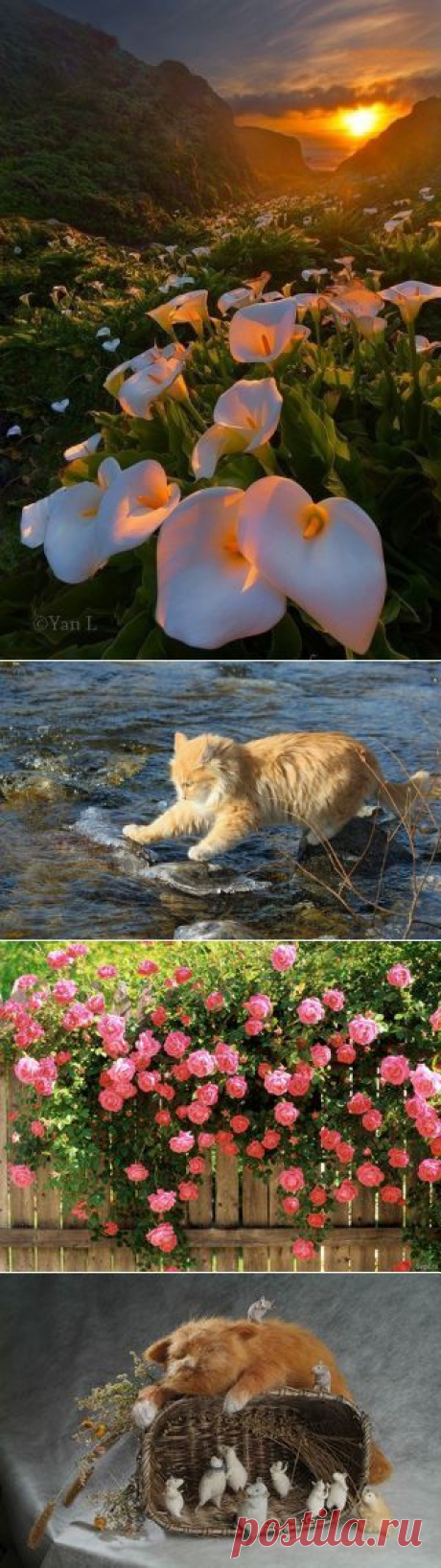 INTERWORLD | Взгляни на мир с интересом