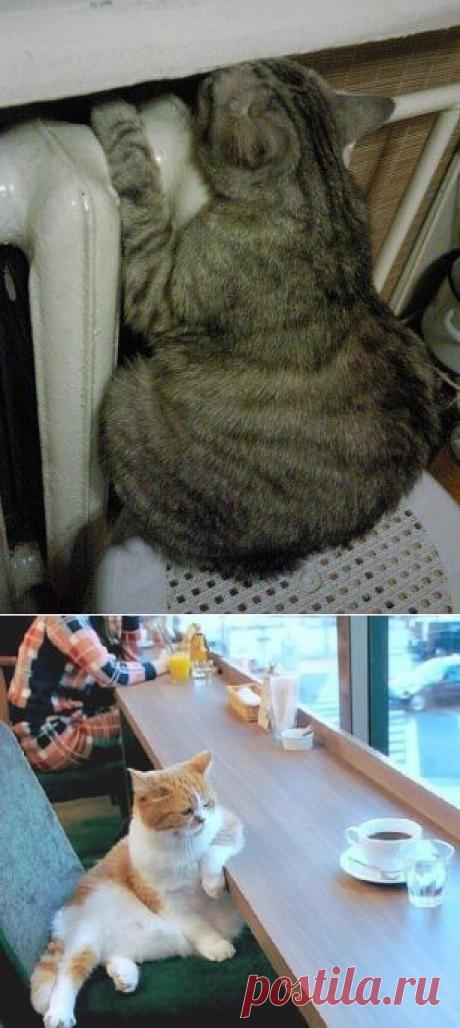 jjjjjjjjjjjjjjjjjjjjjjjj