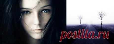 Боязнь людей. Люди, вы же – звери!