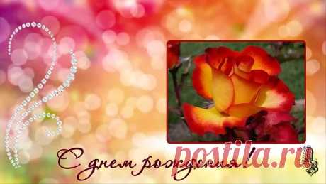 С днем рождения! Красивые розы с днем рождения Happy birthday! Beautiful roses happy birthday