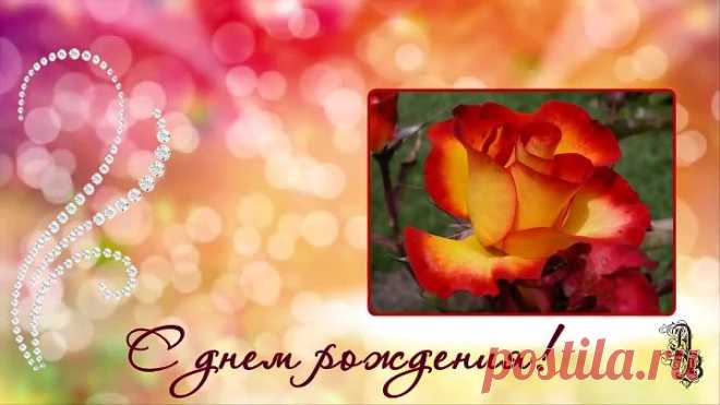 С днем рождения! Красивые розы с днем рождения Happy birthday! Beautiful roses happy birthday