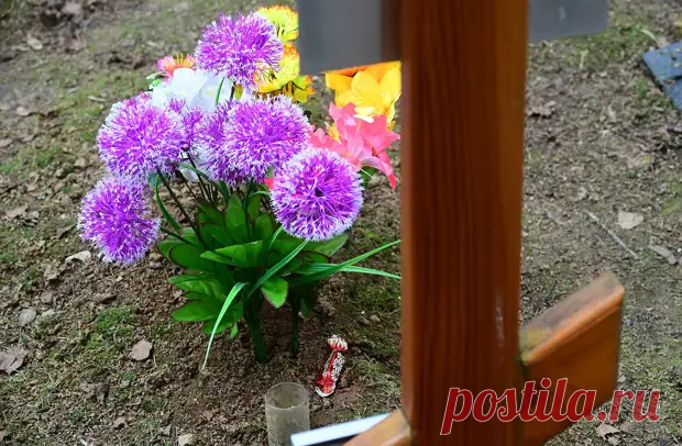 Дмитриевская родительская суббота в 2024 году: дата, история и традиции. Что можно и нельзя делать в этот день - Закон и Порядок - Социальная сеть 