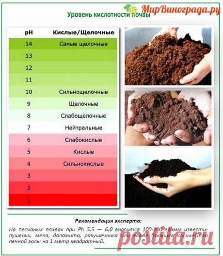Как быстро определить кислотность почвы на участке? Как быстро определить кислотность почвы на участке? 
3-4 листьев черной смородины или черемухи и заварить их в стакане крутого кипятка. Остудить и процедить. Опустить в эту воду кусочек почвы с участка. Если вода окажется красной - почва кислая. Если зеленоватой - слабокислая. Синеватый оттенок воды в стакане укажет на нейтральную реакцию почвы.