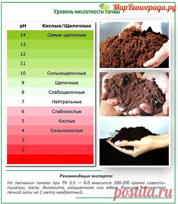 Как быстро определить кислотность почвы на участке? Как быстро определить кислотность почвы на участке? 
3-4 листьев черной смородины или черемухи и заварить их в стакане крутого кипятка. Остудить и процедить. Опустить в эту воду кусочек почвы с участка. Если вода окажется красной - почва кислая. Если зеленоватой - слабокислая. Синеватый оттенок воды в стакане укажет на нейтральную реакцию почвы.