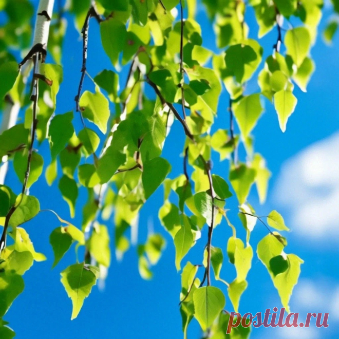Есть такое место в вышине... (Анна Соболь) / Стихи.ру