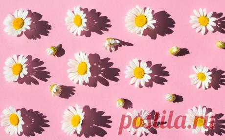 Кому помогут спринцевания ромашкой: польза и вред процедуры