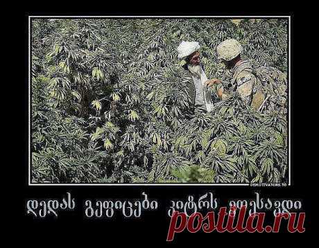 Одноклассники