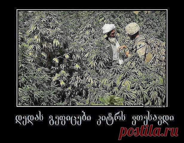 Одноклассники