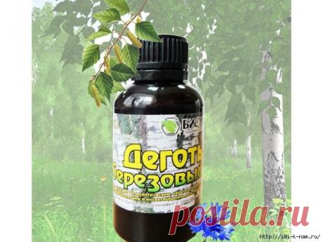 Берёзовый дёготь и очищение организма / кожи