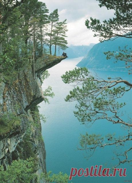 Интересные факты в картинках и фотографиях. Часть 2