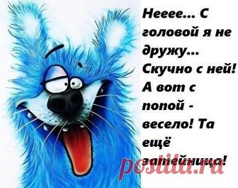 Встречаются две секретарши и обсуждают своих начальников... 
Мальчик пристает к отцу:— Пап, а как устроены мозги?— Отстань!— Ну как устроены мозги?— Отстань, у меня ДРУГОЕ в голове.

Сидит студент грустный такой. Подходит второй:- Чё такой грустный?- Три дня д…