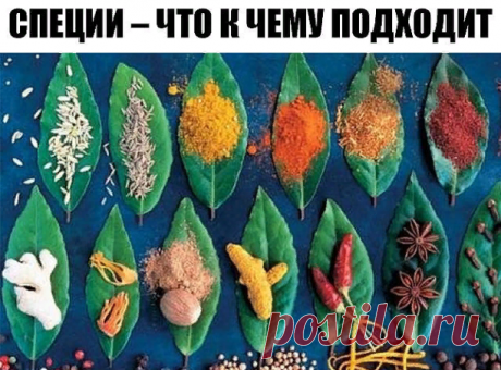 СПЕЦИИ – ЧТО К ЧЕМУ ПОДХОДИТ