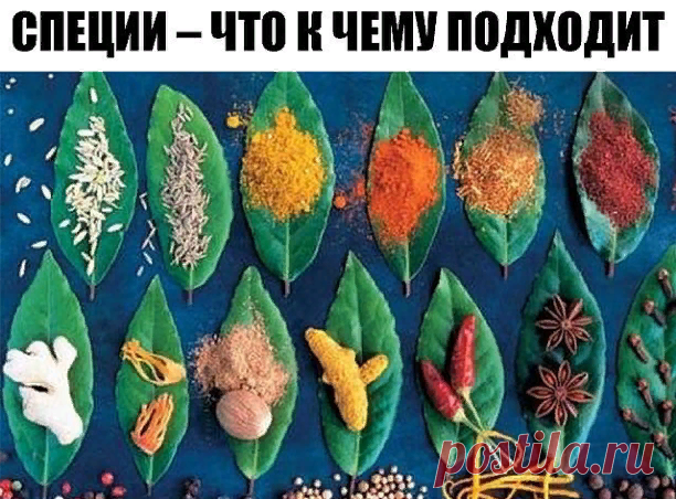 СПЕЦИИ – ЧТО К ЧЕМУ ПОДХОДИТ