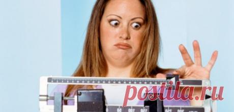 Какие продукты делают нас толстыми?