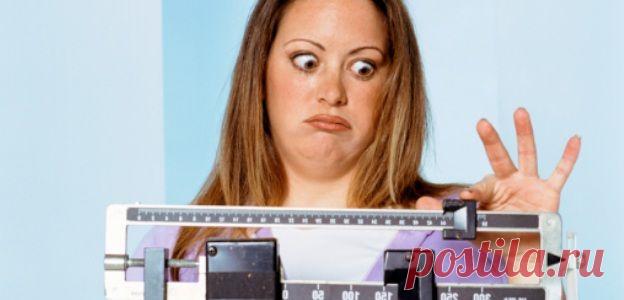 Какие продукты делают нас толстыми?