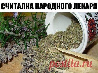 Считалка-напоминалка народного лекаря

Лечит мята невралгию,
Свеколка - гипертонию,
Земляника гонит соль,
А шалфей - зубную боль,

Арбуз кушай при нефрите,
А бруснику - при артрите,
Чтобы было больше сил,
Помни ты про девясил.

Клюква вылечит цистит,
Редька - кашель и бронхит,
Головную боль - калина,
А простуду - чай с малиной.

Печень подлечи рябиной,
Сердце - мятой и калиной,
Чтоб забыть о диабете -
Топинамбур ешь все лето.

Астму вылечи иссопом,
Мочевой пузырь - укропом...