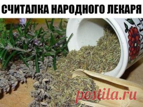 Считалка-напоминалка народного лекаря

Лечит мята невралгию,
Свеколка - гипертонию,
Земляника гонит соль,
А шалфей - зубную боль,

Арбуз кушай при нефрите,
А бруснику - при артрите,
Чтобы было больше сил,
Помни ты про девясил.

Клюква вылечит цистит,
Редька - кашель и бронхит,
Головную боль - калина,
А простуду - чай с малиной.

Печень подлечи рябиной,
Сердце - мятой и калиной,
Чтоб забыть о диабете -
Топинамбур ешь все лето.

Астму вылечи иссопом,
Мочевой пузырь - укропом...