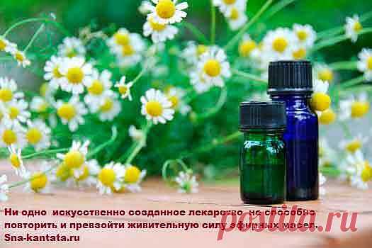 Лечебные свойства эфирных масел. Применение. Сочетаемость. Противопоказания.