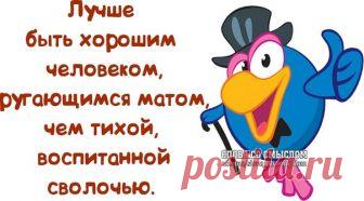 Для хорошего настроения прикольные фразочки в картинках (29 штук)