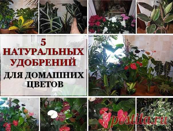 "ЗОЛУШКА" Домашний уют. Здоровье. Красота