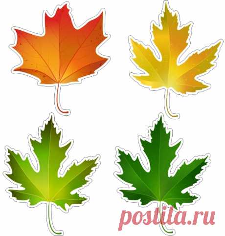 Скрапбукинг, рукоделие