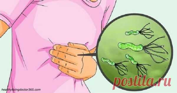 25 продуктов, защищающих организм от жира, болезней сердца и рака