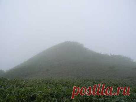 Одноклассники