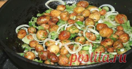 Этот простой рецепт русской кухни — самый лучший вариант приготовления молодого картофеля 

Ингредиенты:

мелкий молодой картофель;
пучок зеленого лука;
пучок укропа
4-5 зубчиков чеснока;
растительное масло для жарки картофеля;
соль и перец — по вкусу.

Самый лучший жареный молодой картофе…