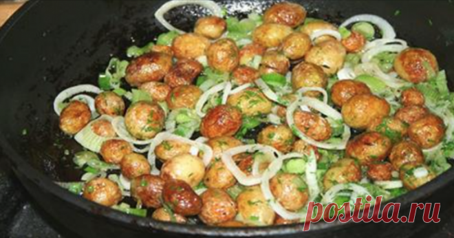 Этот простой рецепт русской кухни — самый лучший вариант приготовления молодого картофеля 

Ингредиенты:

мелкий молодой картофель;
пучок зеленого лука;
пучок укропа
4-5 зубчиков чеснока;
растительное масло для жарки картофеля;
соль и перец — по вкусу.

Самый лучший жареный молодой картофе…