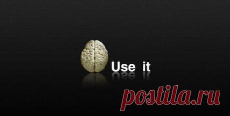 Интеллектуариум ©