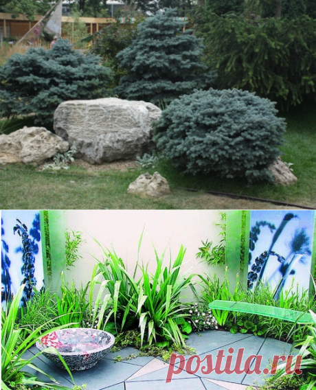 Современный сад – сила в спокойствии - Садоводка