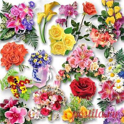 Цветочный клипарт | Clipart - Flowers » RandL.ru - Все о графике, photoshop и дизайне. Скачать бесплатно photoshop, фото, картинки, обои, рисунки, иконки, клипарты, шаблоны.