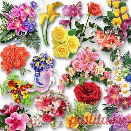 Цветочный клипарт | Clipart - Flowers » RandL.ru - Все о графике, photoshop и дизайне. Скачать бесплатно photoshop, фото, картинки, обои, рисунки, иконки, клипарты, шаблоны.