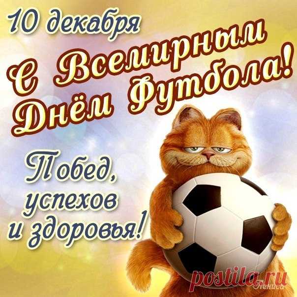 Со Всемирным днем футбола!
Пусть летит в ворота мяч.
Даже пусть на грани фола
Много дарит жизнь удач.
