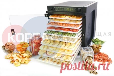 Дегидратор Sedona Express SD-6280 (пластиковые лотки)