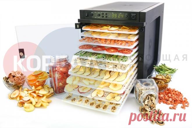 Дегидратор Sedona Express SD-6280 (пластиковые лотки)
