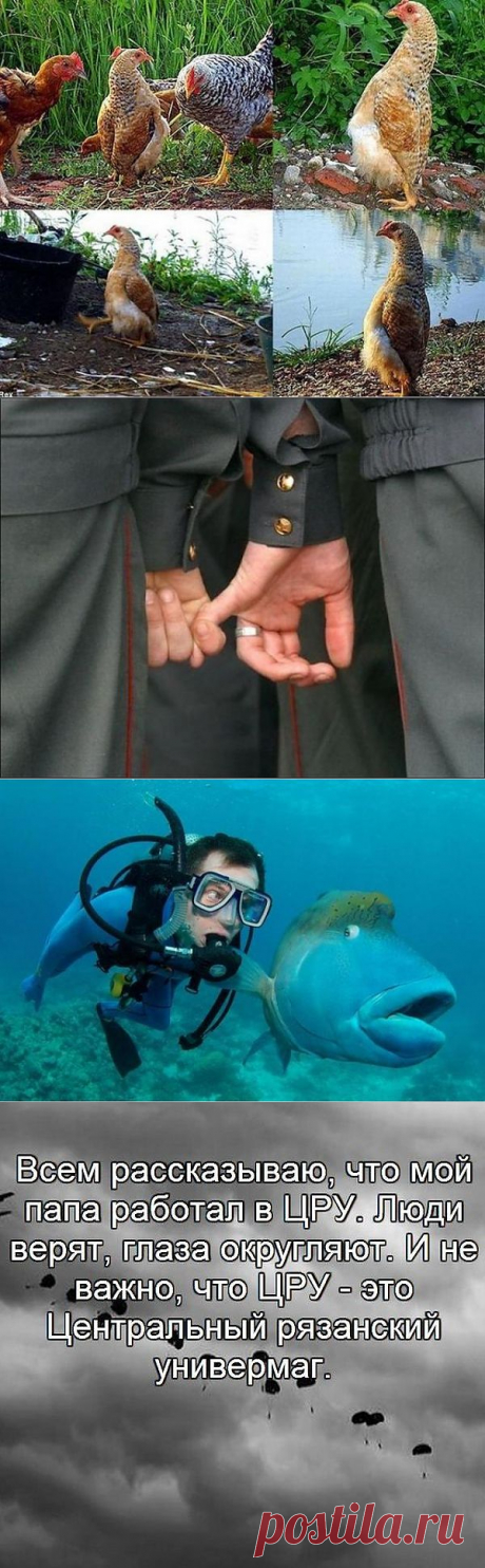 (+1) тема - Позитив и юмор в смешных фотографиях | Улетные картинки