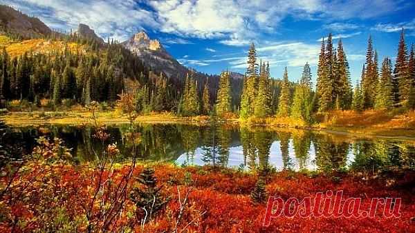 Осень