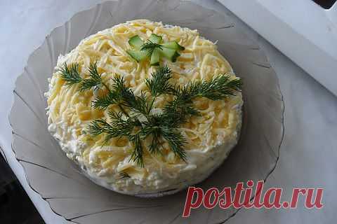 Салат "Нежность"
 Этот салат напоминает мне "Селедку под шубой", хотя вкус совершенно другой. Каждый слой смазываем смесью майонеза и сметаны. Берем рыбу х/к, (я взяла горбушу) и мелко режем
 далее - слой зеленого лука, но можно и репчатый, слой отварного картофеля, тертого на терке
  слой свежего огурца, заранее натертого на терке и отжатогоo   далее - отварное яйцо, тертое на терке и сверху тертый сыр