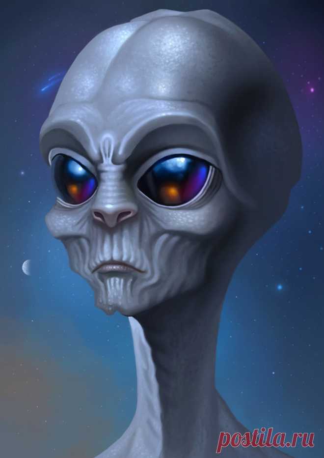 2.jpg (Изображение JPEG, 1133 × 1600 пикселов)