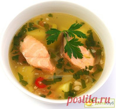 РАЗРЕШЕНО ХУДЕЮЩИМ. Уха из сёмги | Домохозяйки