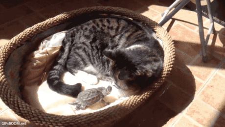 Популярное – Google+