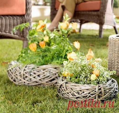 Как украсить дачный участок: оригинальные идеи цветов и поделок