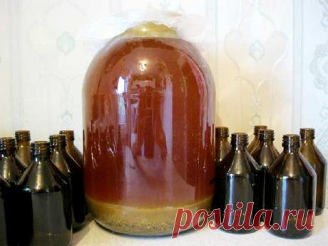 Лечебные свойства настойки прополиса — Планета и человек