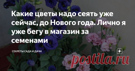 Какие цветы надо сеять уже сейчас, до Нового года. Лично я уже бегу в магазин за семенами Соскучились по посевной и возне с рассадой? Хотите вырастить декоративные растения с чудесным цветением? Пора приступать за работу!
Есть очень красивые декоративные растения для дома и сада, но с долгим периодом вегетации. Это означает, что от момента появления всходов до красивого букетного цветения как с картинки проходит много