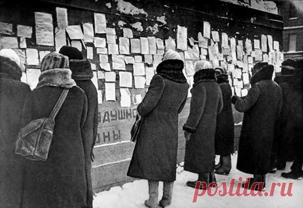 Чем приходилось питаться людям в блокадном Ленинграде? | Pravdoiskatel
